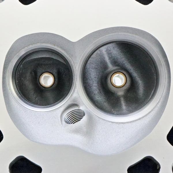 AFR 1506 – 210cc LS1 “Enforcer” As-Cast Cylinder Head (Small-Bore 4.8/5.3L, 64cc Chambers)