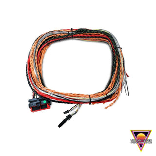 FuelTech FTSpark-8 Blank Ignition Harness – 10 ft, Unterminated (FTH5015006522)