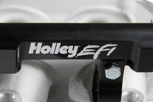 Holley EFI LS1/LS2/LS6 Lo-Ram Modular Intake Manifold (Cathedral Port) Virtual Speed Performance HOLLEY
