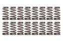 Beehive LS6+ Valve Springs GM LS Virtual Speed Performance COMP CAMS