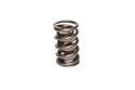 1.437 Dia. Dual Valve Springs- .695 ID. Virtual Speed Performance COMP CAMS