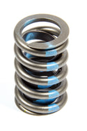 1.255 Valve Spring (1) Single w/o Damper Virtual Speed Performance ELGIN