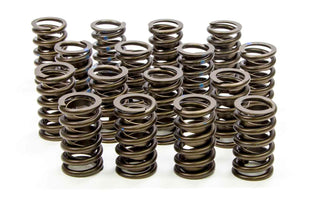 Valve Springs Virtual Speed Performance ISKY CAMS
