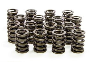 1.530in Valve Springs Virtual Speed Performance ISKY CAMS