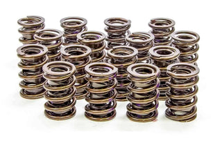 1.550in Valve Springs Virtual Speed Performance ISKY CAMS