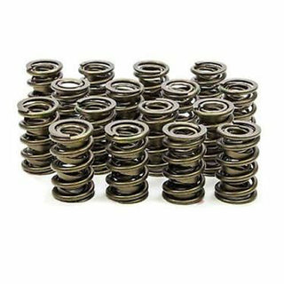1.570 Dual Valve Springs Virtual Speed Performance ISKY CAMS