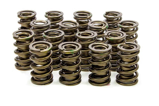 1.560 Valve Springs Virtual Speed Performance ISKY CAMS