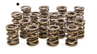 Valve Spring 1.550 Dual w/o Damper Virtual Speed Performance LUNATI
