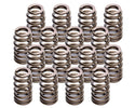 1.290in Beehive Valve Springs Virtual Speed Performance LUNATI