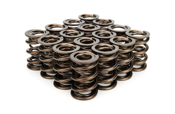 1.640 Dual Valve Springs Virtual Speed Performance MANLEY
