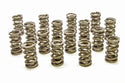 1.324 Dual Valve Springs - RPM Series (16) Virtual Speed Performance PAC RACING SPRINGS