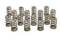 Valve Springs - Beehive (16) GM LS Virtual Speed Performance PAC RACING SPRINGS