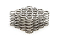 PAC Racing PAC-1231X Beehive Valve Springs – Set of 16