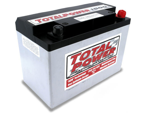 31lb Racing Battery 495 CCA 790CA Virtual Speed Performance TOTAL POWER BATTERY